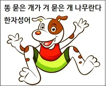 똥 묻은 개가 겨 묻은 개 나무란다 한자성어