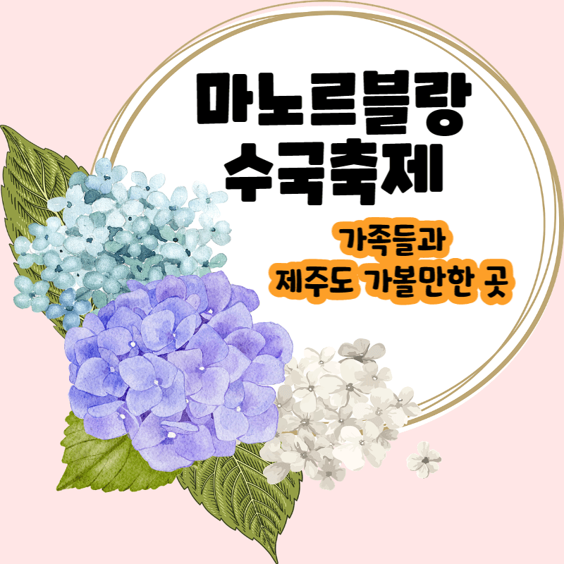 수국 개화시기