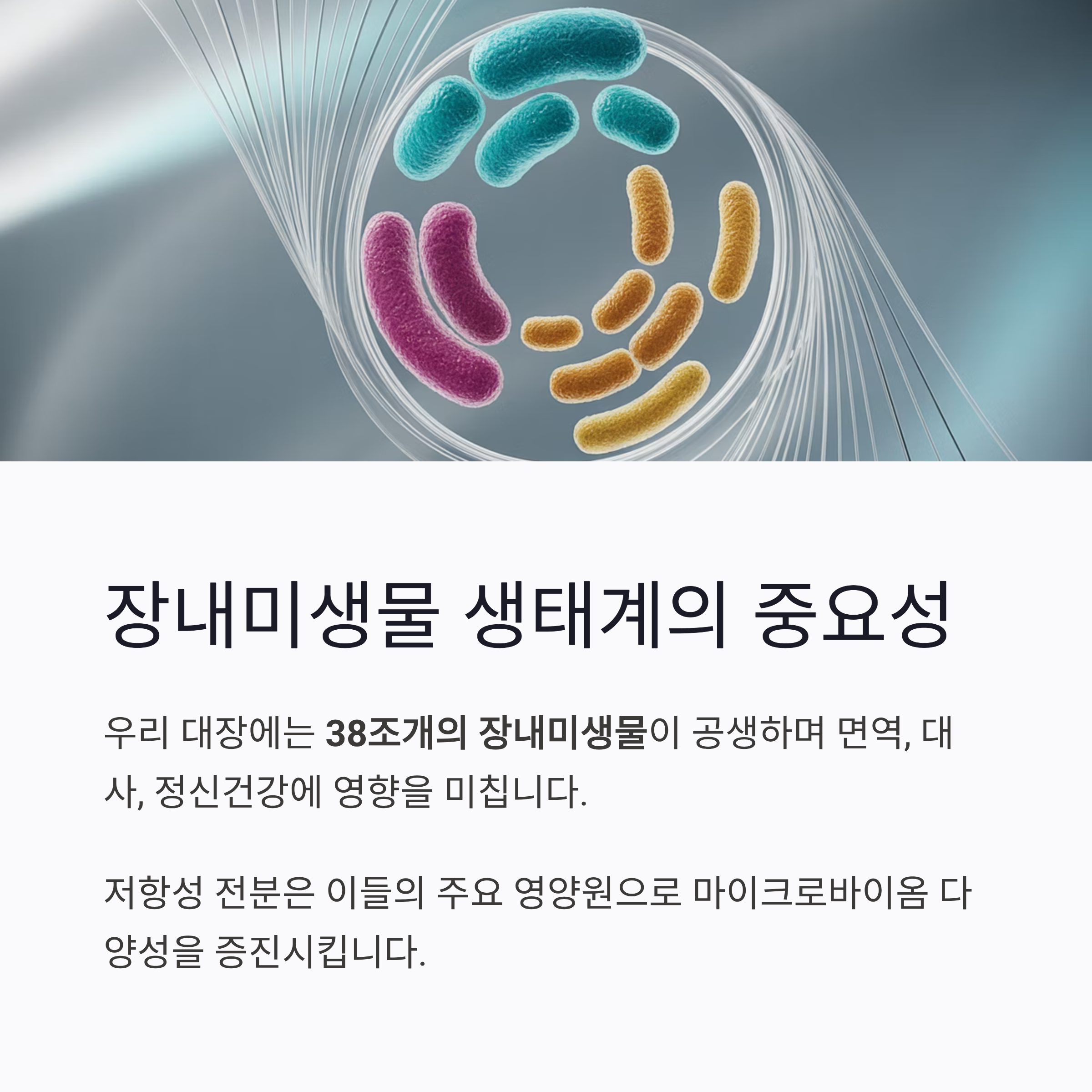 장내 미생물 생태계의 중요성