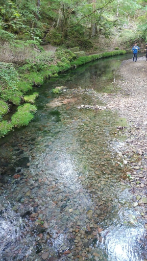 유후인 여행 추천 오이케 용수군