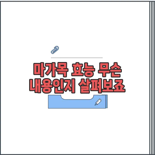 마가목 효능 무슨 내용인지 살펴보죠