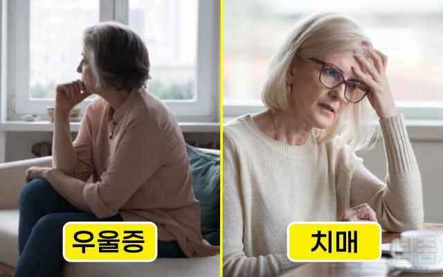 치매 우울증 차이 구분