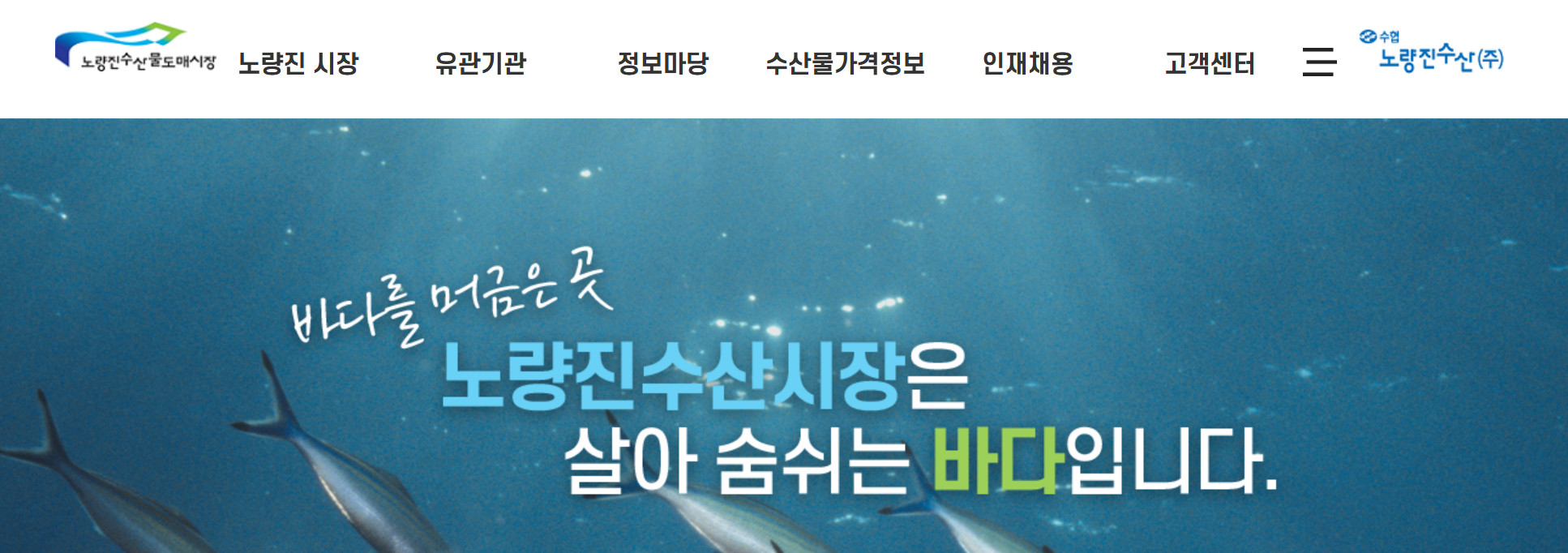 생생정보 노량진수산물도매시장 정보