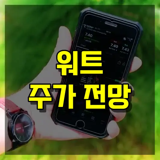 워트 주가 전망