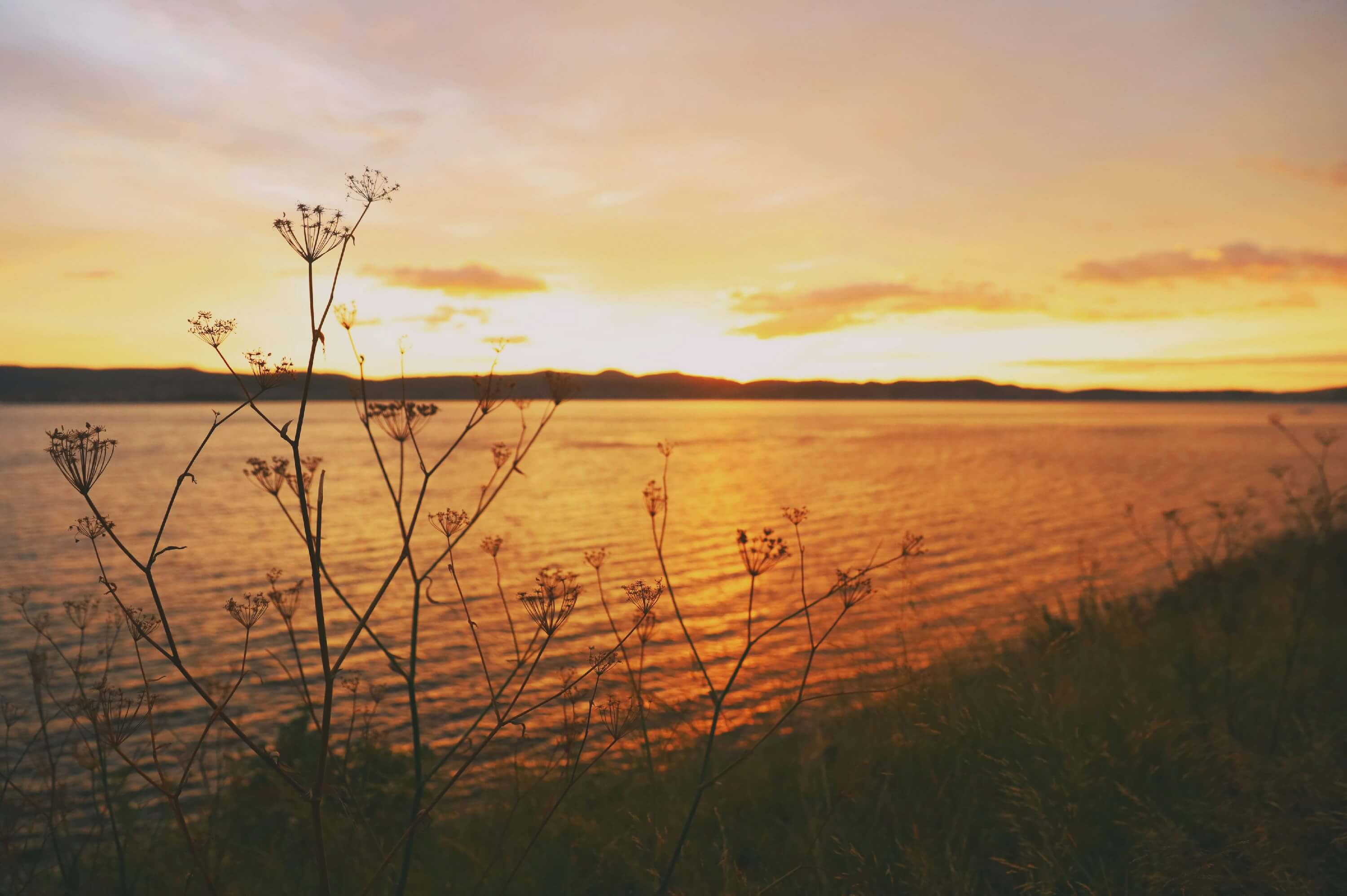 전략적 낙관주의