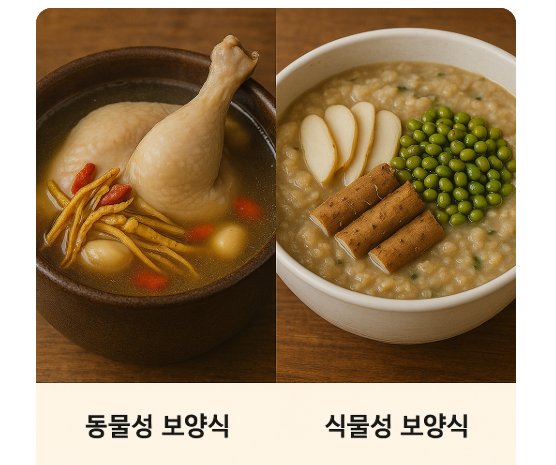 동물성 VS 식물성 보양식