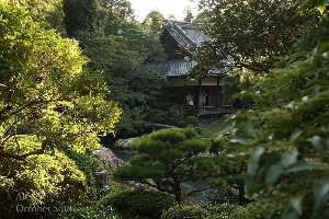 교토 여행 추천 교토 쇼렌인