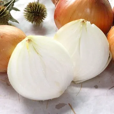 양파 보관법 양파 오래 보관법 3가지 방법_4