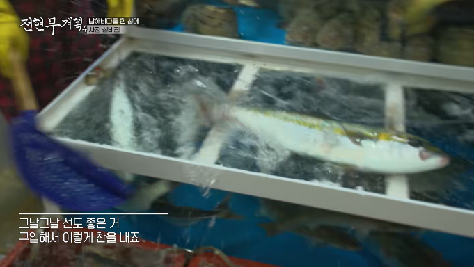 실비코스