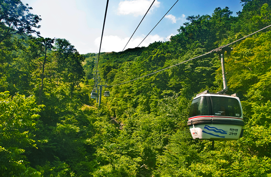 덕유산 등산 코스