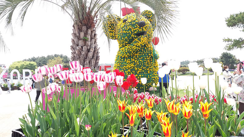 ํ์ํค๋ฆฝ์ถ์ 