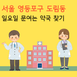 서울 영등포구 도림동 일요일 문여는 약국