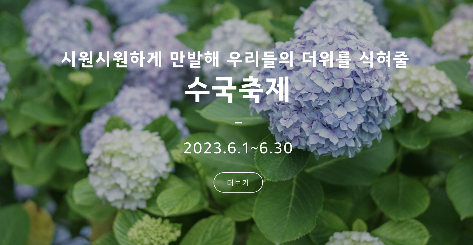 제주 한림공원 수국 축제