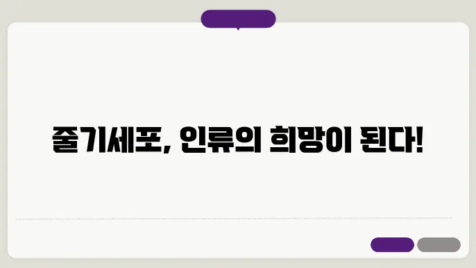 줄기세포 연구의 현재와 미래