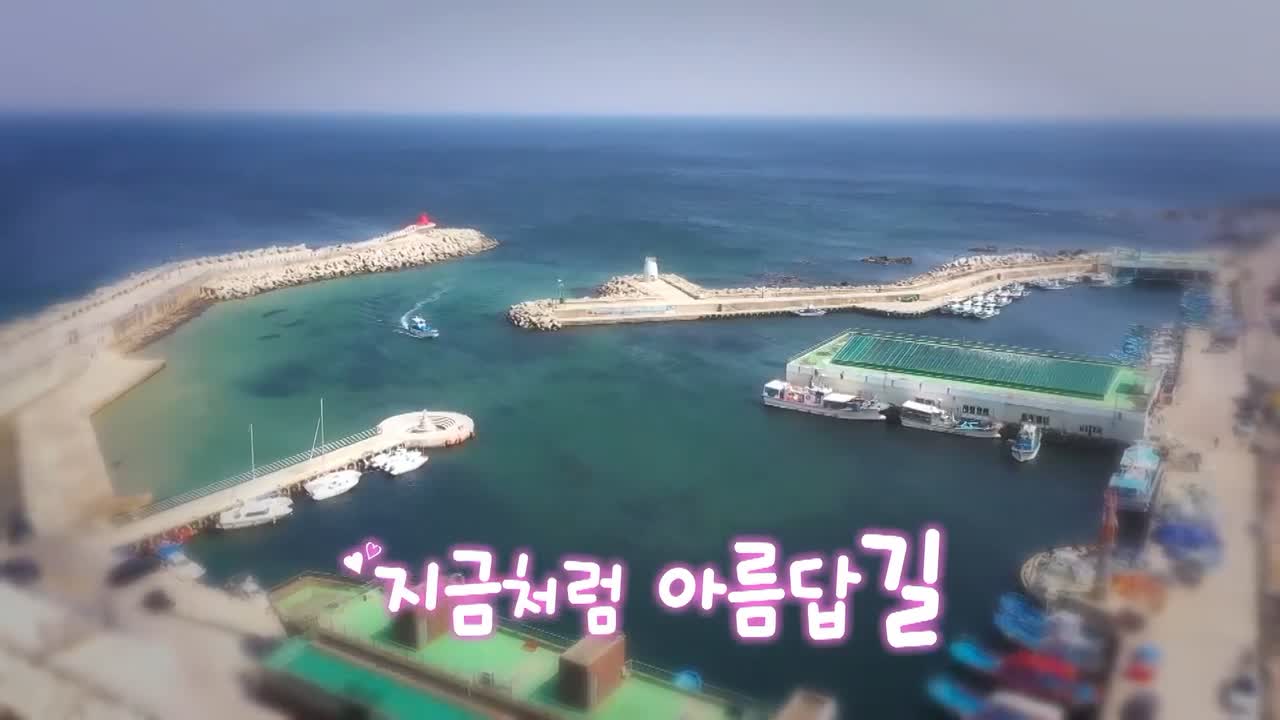 강원도 동해 추천 카페, 문어 택배 판매 맛집