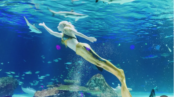 아쿠아플라넷63