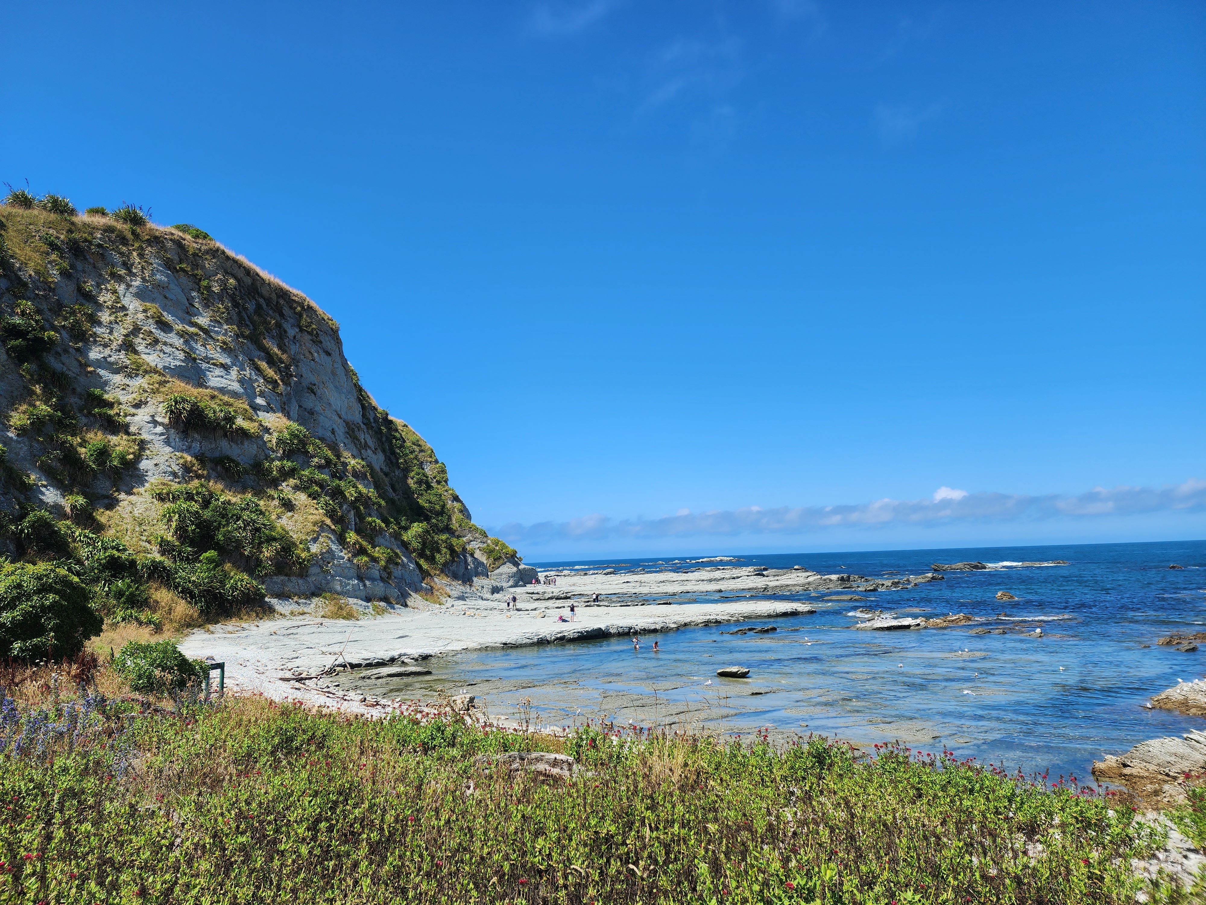Kaikoura Peninsula Walkway
