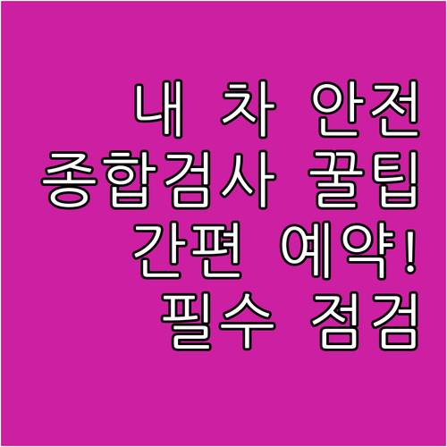 내 차 안전 지키는 자동차 종합검사,..