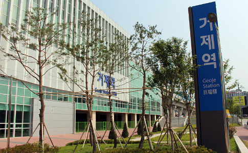 동해선 노선 정보