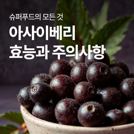 아사이베리 효능과 주의사항/ 출처- 네이버블로그[FIZZ DESIGN STUDIO : 피즈 디자인 스튜디오]