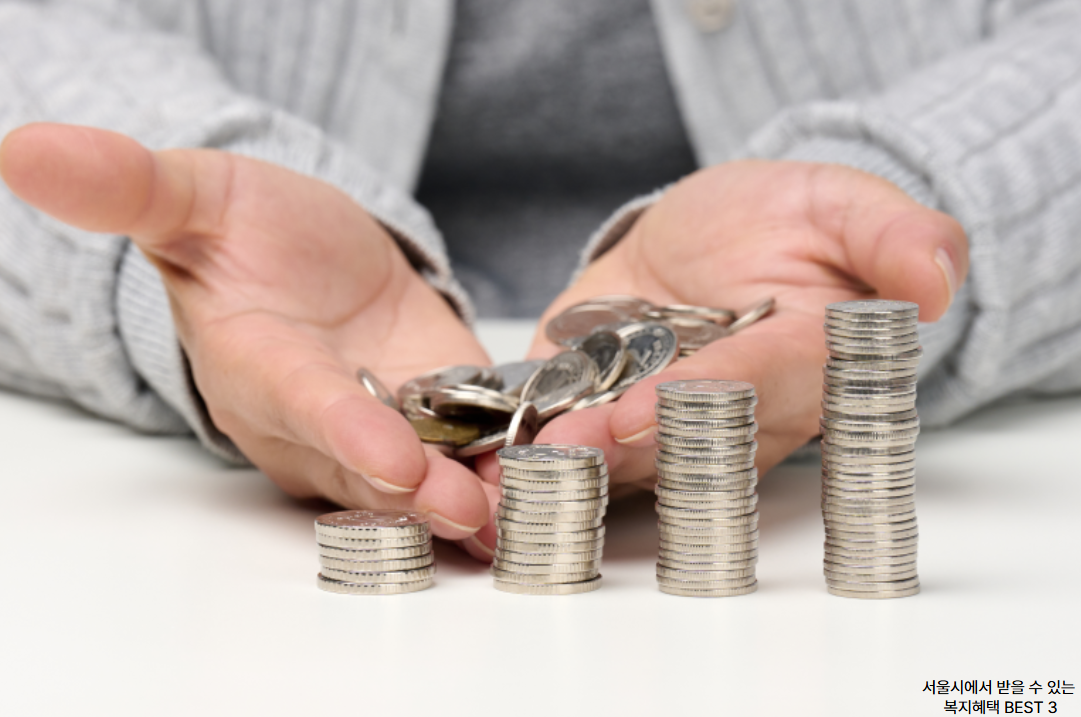 서울 복지혜택 BEST 3 관련 사진