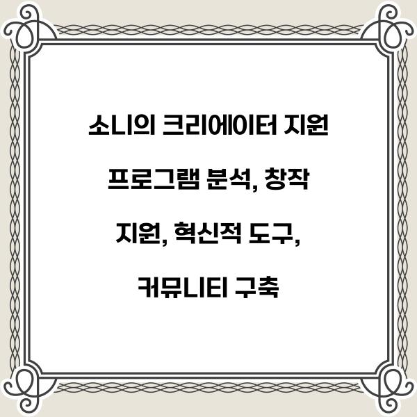 소니의 크리에이터 지원 프로그램 분석