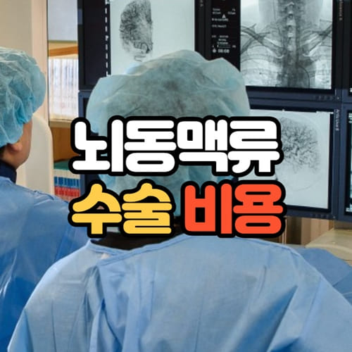 뇌동맥류 수술 비용