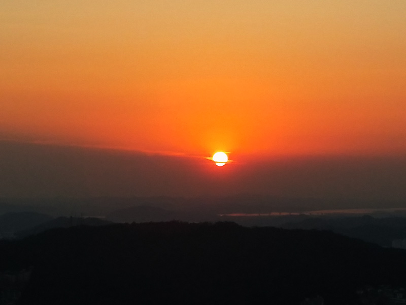 인왕산(Inwangsan Mountain) 꽃돼지를 만나다!