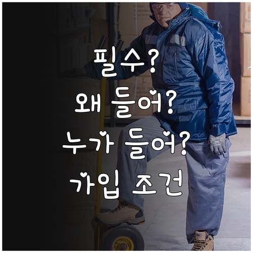 자동차보험, 누가 왜 가입해야 할까?