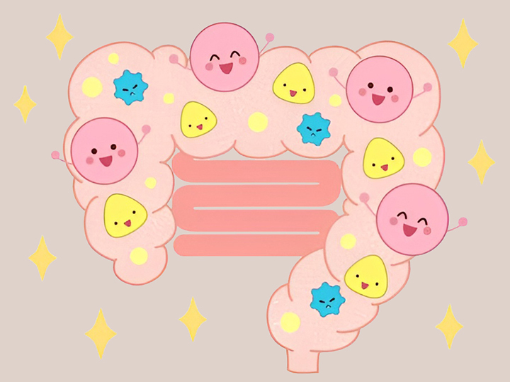 건강한-장의-모습