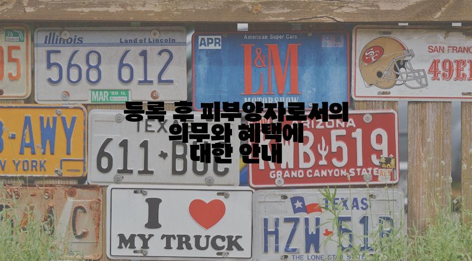 등록 후 피부양자로서의 의무와 혜택에 대한 안내