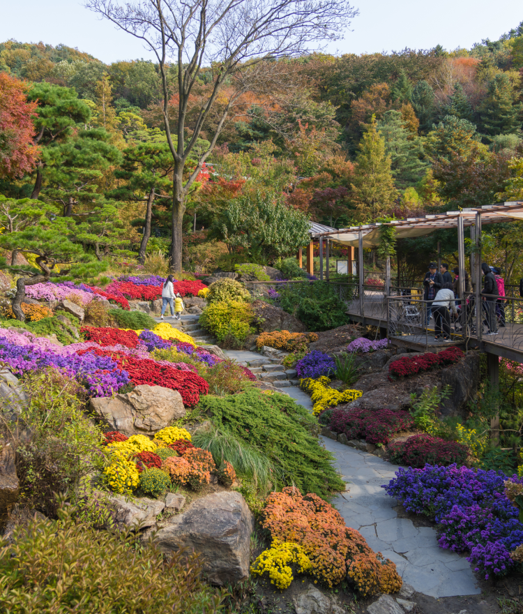 화담숲 암석 하경정원