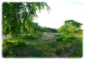 단성묵곡생태숲