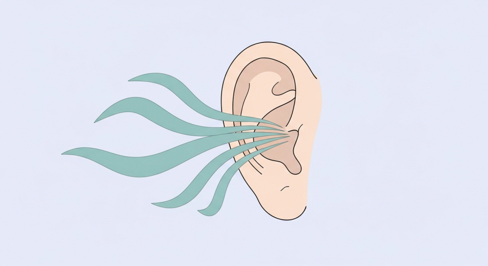 귀에서 삐소리가 나는 이유