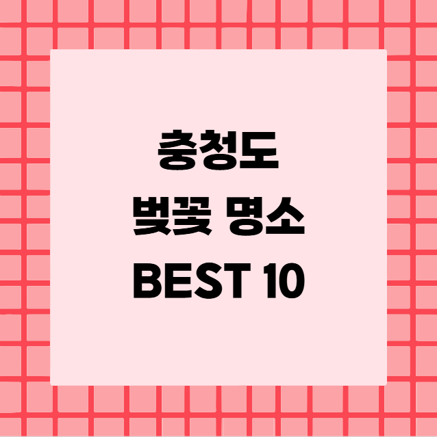 충청도 벚꽃 명소