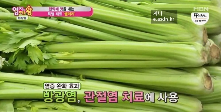 샐러리 효능 15가지와 부작용 총정리...음식건강이야기 열다섯번째