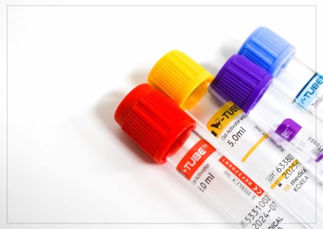 Total Protein 수치