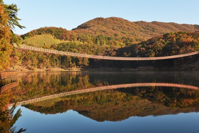 경기도 파주 마장호수 출렁다리 단풍