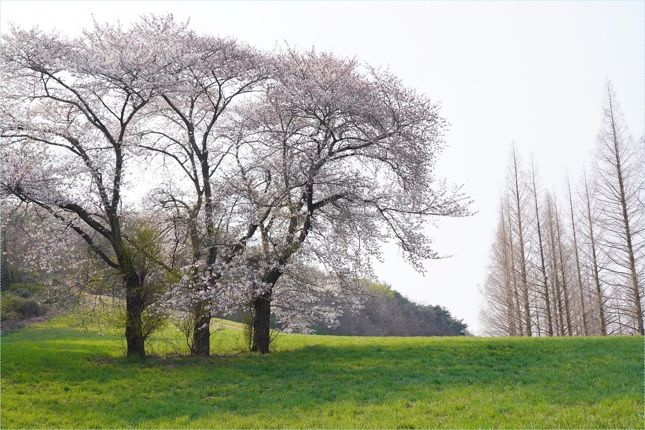 은행 적금 이자 높은곳