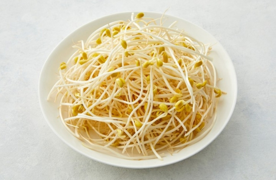 야생에서 채취를 한 콩나물을 깨끗하게 세척한 후에 하얀 바닥 위에 희고 동그란 그릇에 가득 담아 둔 것을 놓아두고 찍은 사진