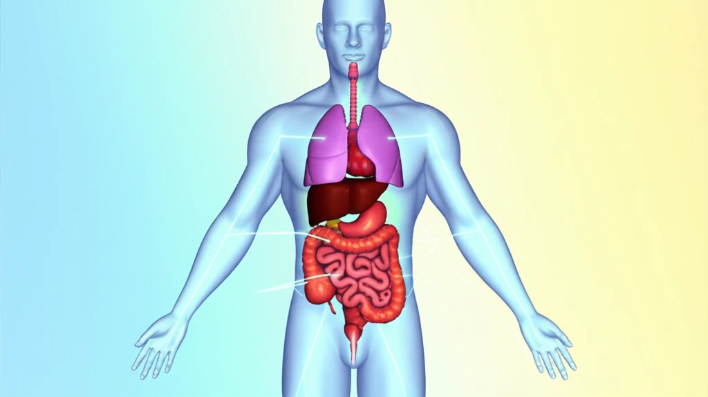 건강검진 똑똑하게 받는 법: 놓치면 ..