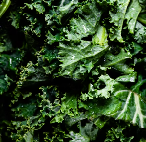 불안장애에 좋은 음식 영양제 식단