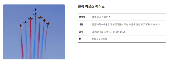 이글스 에어쇼