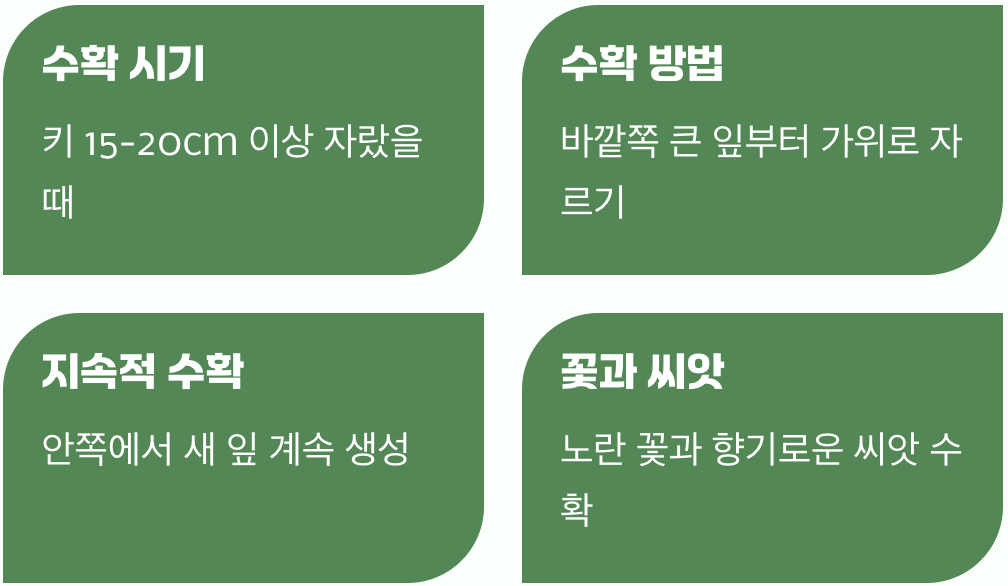 수확의 기쁨, 향기를 즐기는 시간