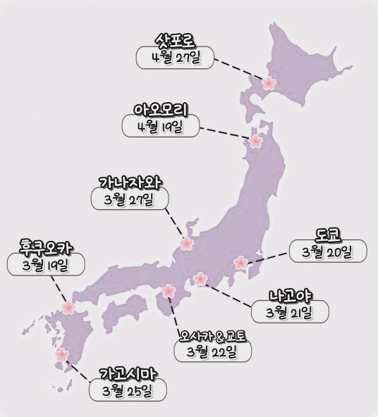 일본 벚꽃 개화시기