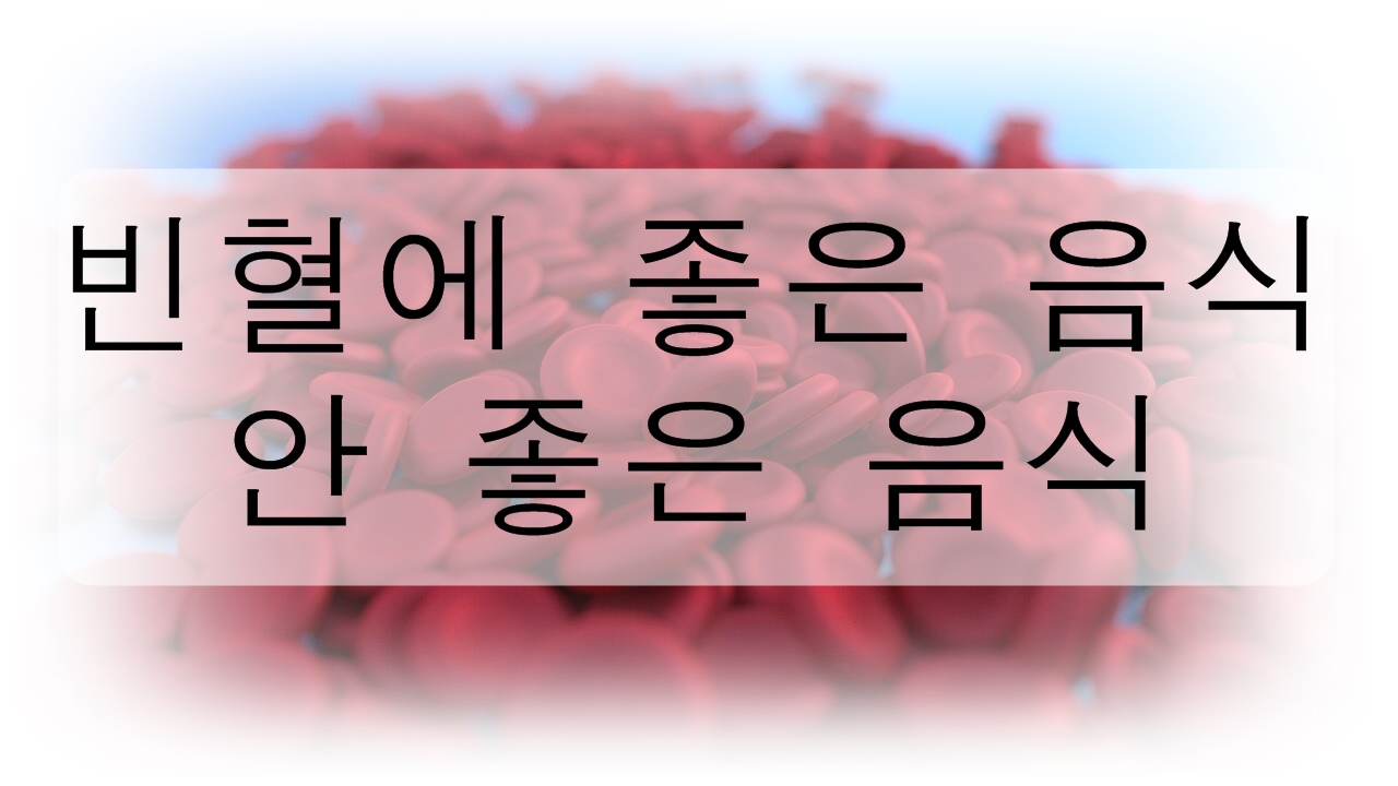 빈혈에 좋은 음식과 안 좋은 음식 총정리! (원인, 증상, 종류)