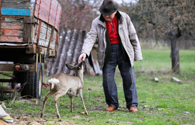 부산시 노인 교통카드 결제 방식
