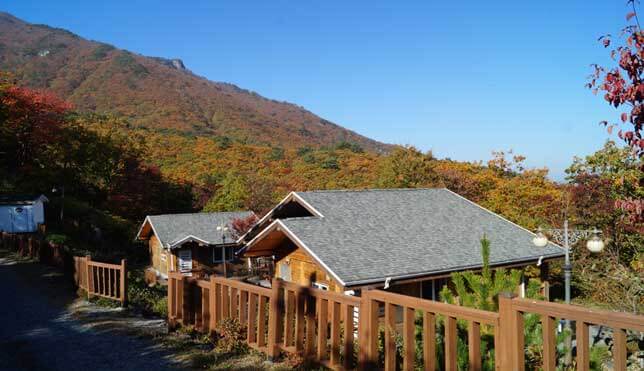 숲나들e 예약 방법부터 추천 캠핑장까지! 2025년 완전정리