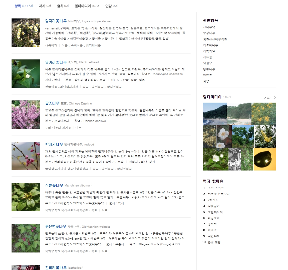 여러 페이지를 넘겨보며 찾고 있던 꽃나무의 사진과 정보를 최종적으로 확인하는 과정