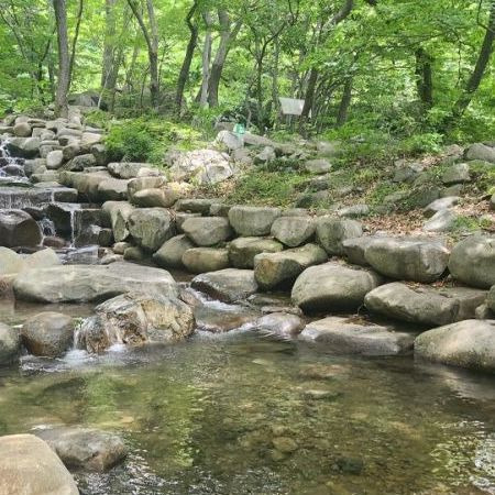 성흥사 계곡